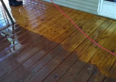 Professional window cleaner