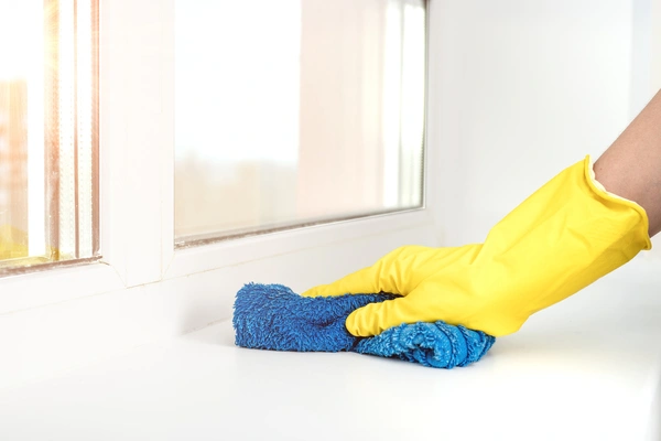 Window Sill Cleaning